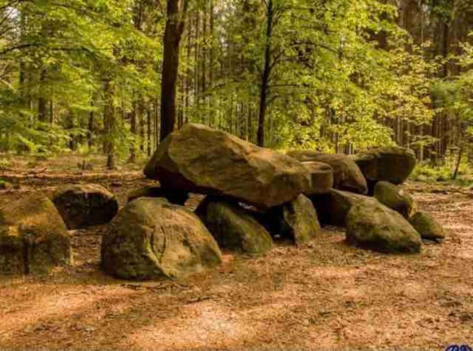 Midden In De Natuur! Anloo